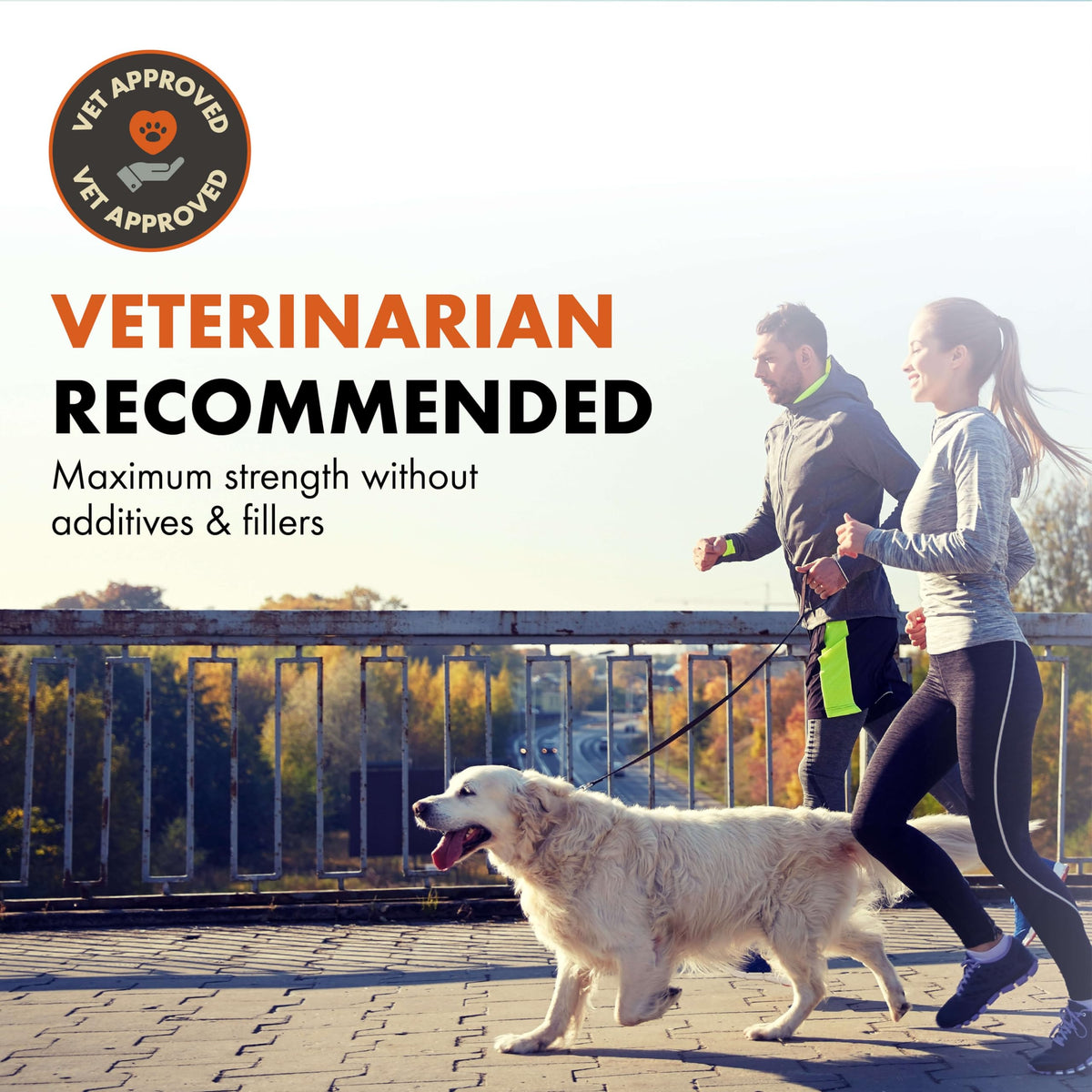 Alpha Dog Nutrition Free Range Dog Hip & Joint Supplement Powder