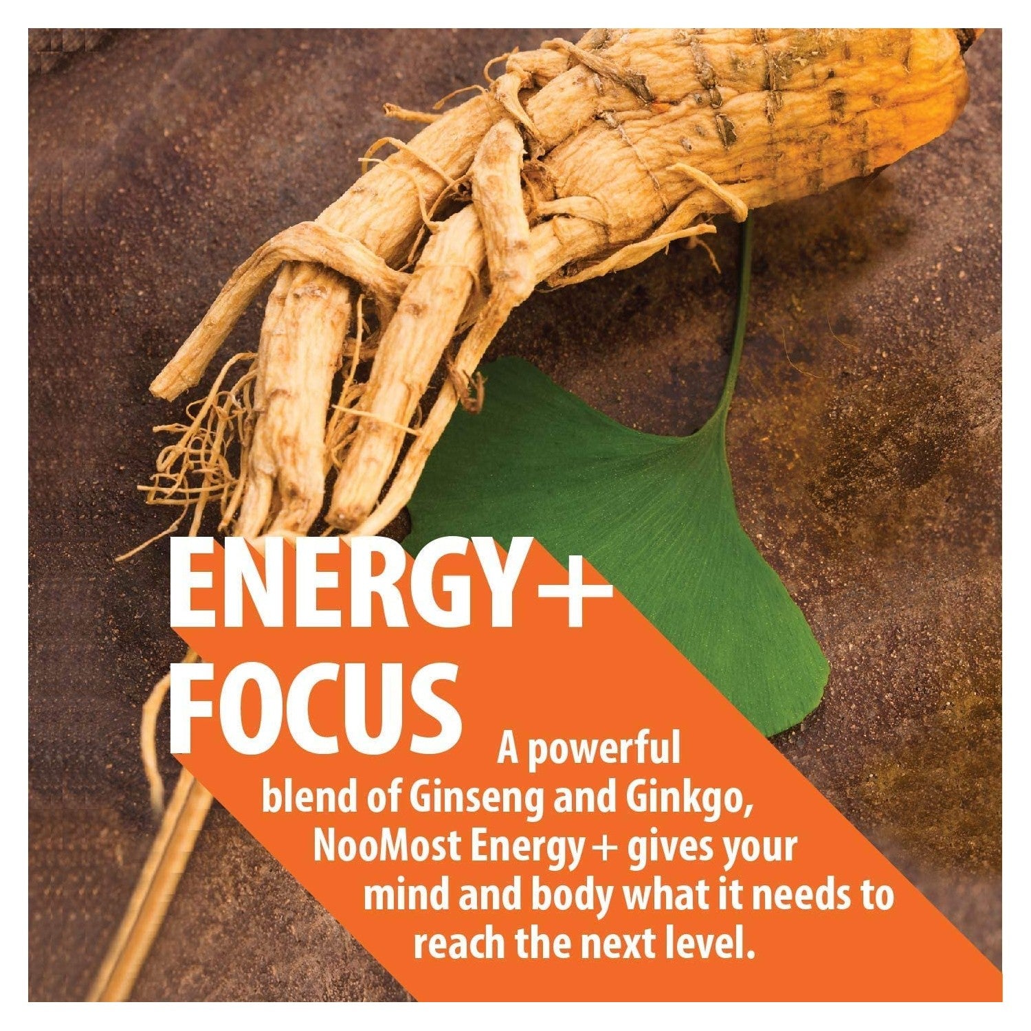 Authentic Korean Red Panax Ginseng + Ginkgo Biloba, 120 Vegan Capsules, Ginseng Root Extract Powder 1000mg (10% Ginsenosides) + Gingko Biloba 60mg, Energy and Focus Pills for Men and Women