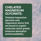 Smarter Nutrition Magnesium Complex - Chelated Magnesium Glycinate with Citrate, Malate and L-Theanine for Sleep, Muscle Relaxation and Stress Support - Non-GMO - 360 Tablets[180DaySupply]