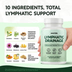 evertide Lymphatic Drainage Supplement - Lymphatic Support for Fluid Balance, Detox & Immune Health with Echinacea, Elderberry, Dandelion & Turmeric - 60 Capsules, 30 Day Supply