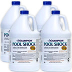 EZ POOLS Champion Liquid Chlorine (4-Pack) - Swimming Pool & Spa Liquid Shock Treatment - Raises Chlorine - 4 Gallons
