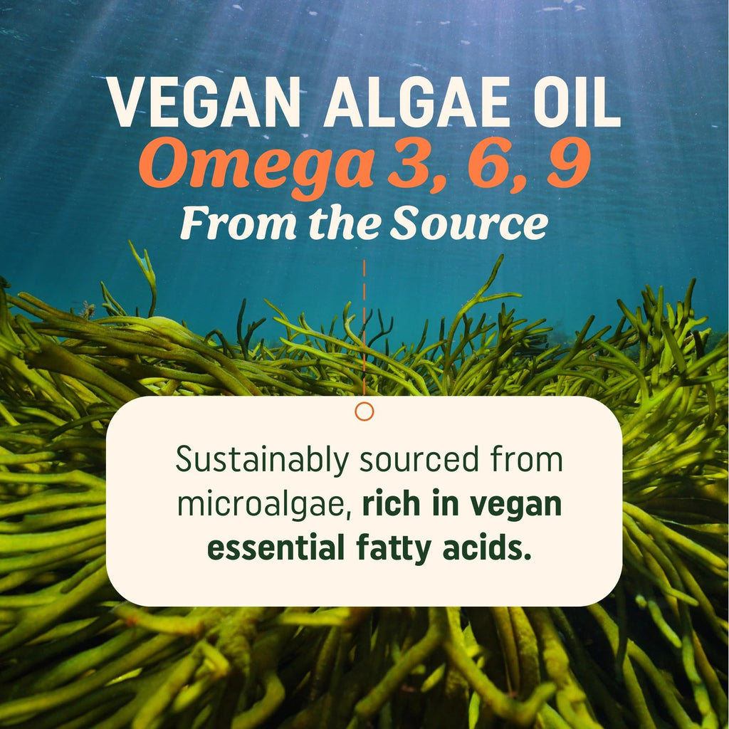 Vegan Omega 3 Algae Oil, Plant Based DHA EPA, Sustainably Sourced, Non-GMO | Carrageenan-Free, Heart Brain & Eye Health Support, Fish Oil Alternative, Omega 3 Fatty Acid Supplements, 60 Vegan Softgels
