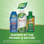 Buy now Nature's Way Liquid Iron, 100% Daily Value, 18 mg Iron as Ferric Glycinate per Serving, No Sugar Added, Berry Flavored, 16 Fl Oz (Packaging May Vary) at indiglob india