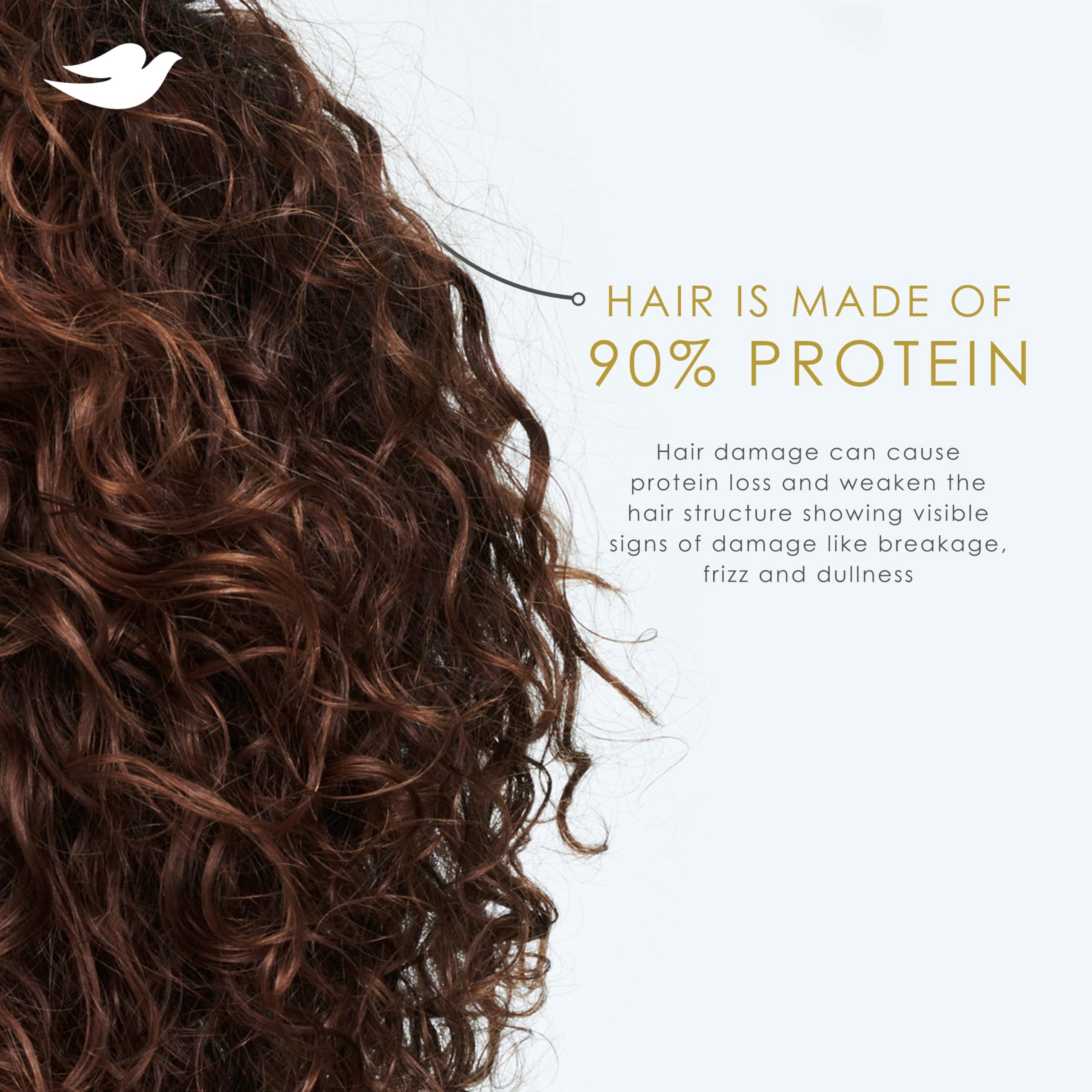 Dove Shampoo Coconut & Hydration for Dry Hair with Bio-Protein Care Technology and Coconut Oil 28 Fl Oz (Pack of 4)