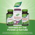 Buy now Nature's Way Heart Care Hawthorn Extract, Supports Healthy Heart Function*, 120 Tablets at indiglob india