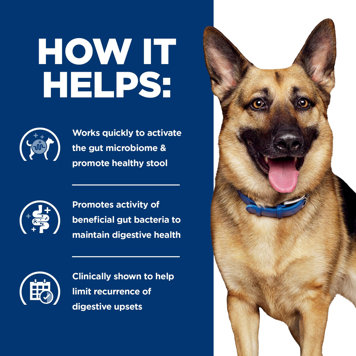 Hill's Prescription Diet GI Biome Digestive/Fiber Care Wet Dog Food