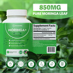 Rosabella Moringa+ Capsules - Pure Moringa Powder, Energy, Skin, Immune & Gut Health Superfood, Rich in Antioxidants, Essential Vitamins & Amino Acids, Natural Green Superfood Supplement - 60 Count