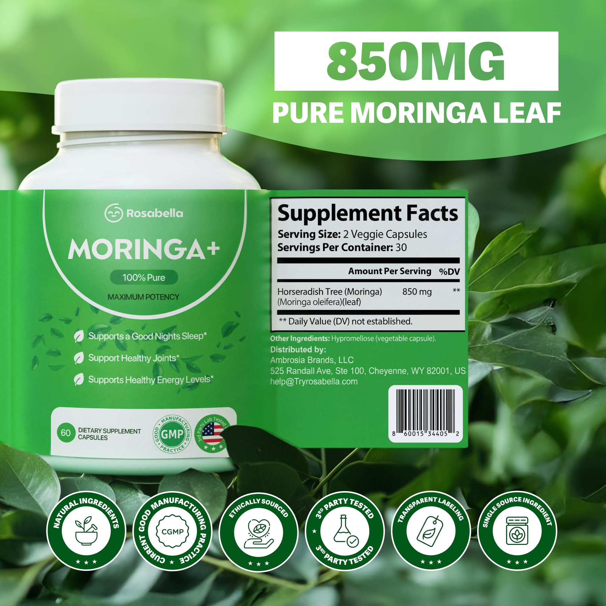 Rosabella Moringa+ Capsules - Pure Moringa Powder, Energy, Skin, Immune & Gut Health Superfood, Rich in Antioxidants, Essential Vitamins & Amino Acids, Natural Green Superfood Supplement - 60 Count