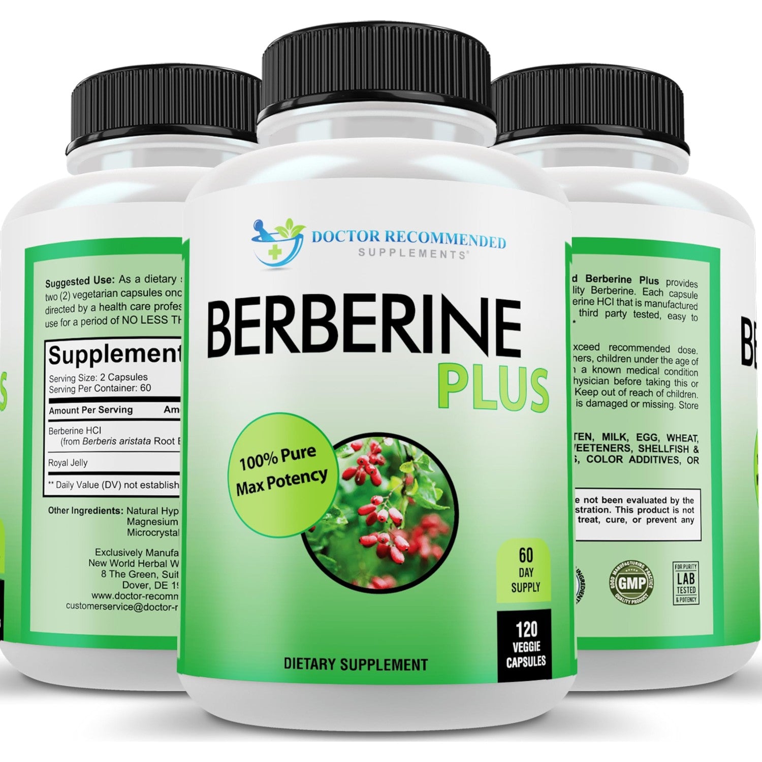 DOCTOR RECOMMENDED SUPPLEMENTS Berberine Plus 1200mg Per Serving - 120 Veggie Capsules Royal Jelly (120 Count (Pack of 3))