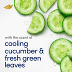 Dove Beauty Bar Soap Cool Moisture Cucumber & Green Tea Scent, 2 Bars for Refreshed Skin, Leaves Skin Refreshed 3.75 oz