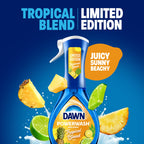 Dawn Dish Soap Spray Kitchen Household Essentials 1 Tropical Blend Starter Kit and Watermelon Refill Combo Pack, 16 oz (each)