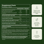 Seed AM-02 Energy + Focus - for Adults - 30-Day Supply with Jar