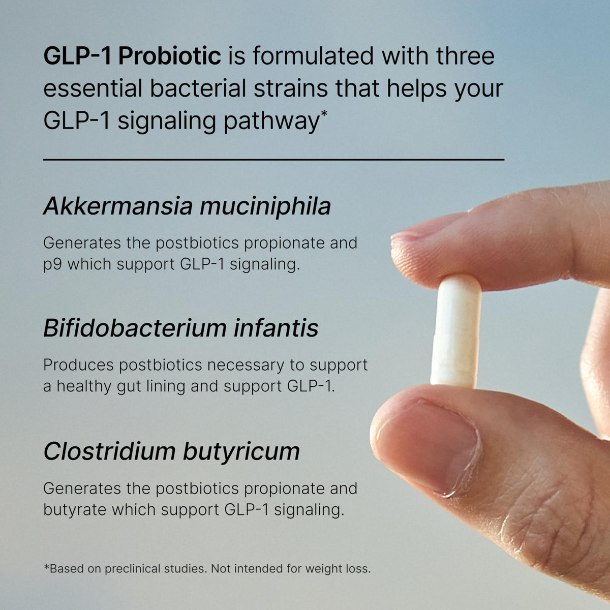 Pendulum GLP-1 Probiotic – Supports Appetite Control and Craving Management, Naturally | Improves Regularity & Gut Health with Akkermansia & Other Strains (30 Capsules)