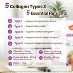 VEV Multi Collagen Peptides Powder, Types I, II, III, V & X, 41 Servings | NSF Certified, Hydrolyzed Collagen with Hyaluronic Acid, Biotin & Vitamin C, Unflavored, 16 oz