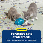 Buy now PetSafe FUNkitty Egg-Cersizer - Cat Toy - Slow-Feeder for Cats to Slow Down & Reduce Aggressive Eating - Durable Multi-Functional Enrichment Toy for Improved Digestion & Exercise at indiglob india