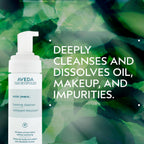 Buy now Aveda Outer Peace Foaming Cleanser | Daily Face Cleanser for Acne-Prone Skin | with Powerful Plant Extracts, 4.2 Fl Oz at indiglob india