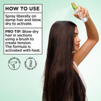 Garnier Fructis Diamond Sleek Hair Shine Spray, Up to 100-Hour Frizz Control, Heat Protectant up to 450°F with Vegan Keratin Smoothing Complex and Argan Oil for Frizzy, Dry, Dull Hair, 4.6 Fl Oz