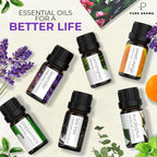 Buy now Essential Oils Set by Pure Aroma - Top 6 Aromatherapy Oils Gift Set-6 Pack, 10ml (Eucalyptus, Lavender, Lemongrass, Sweet Orange, Peppermint, Tea Tree) at indiglob india