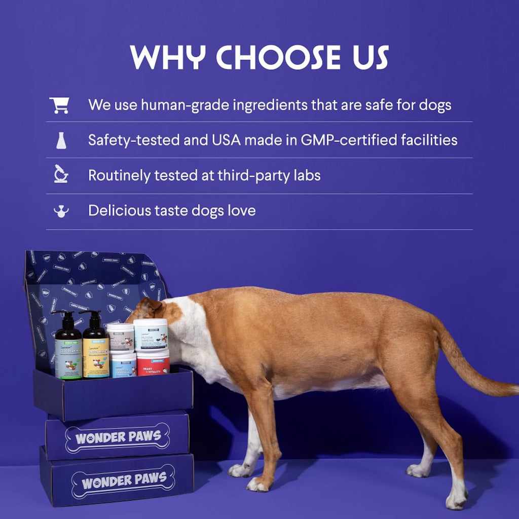 WONDER PAWS Premium Collagen for Dogs – Liquid Support for Skin, Coat, HIPS & Joints – with Hyaluronic Acid & Types I, II & III Collagen – Daily Wellness Formula, Made in USA