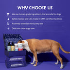 WONDER PAWS Premium Collagen for Dogs – Liquid Support for Skin, Coat, HIPS & Joints – with Hyaluronic Acid & Types I, II & III Collagen – Daily Wellness Formula, Made in USA