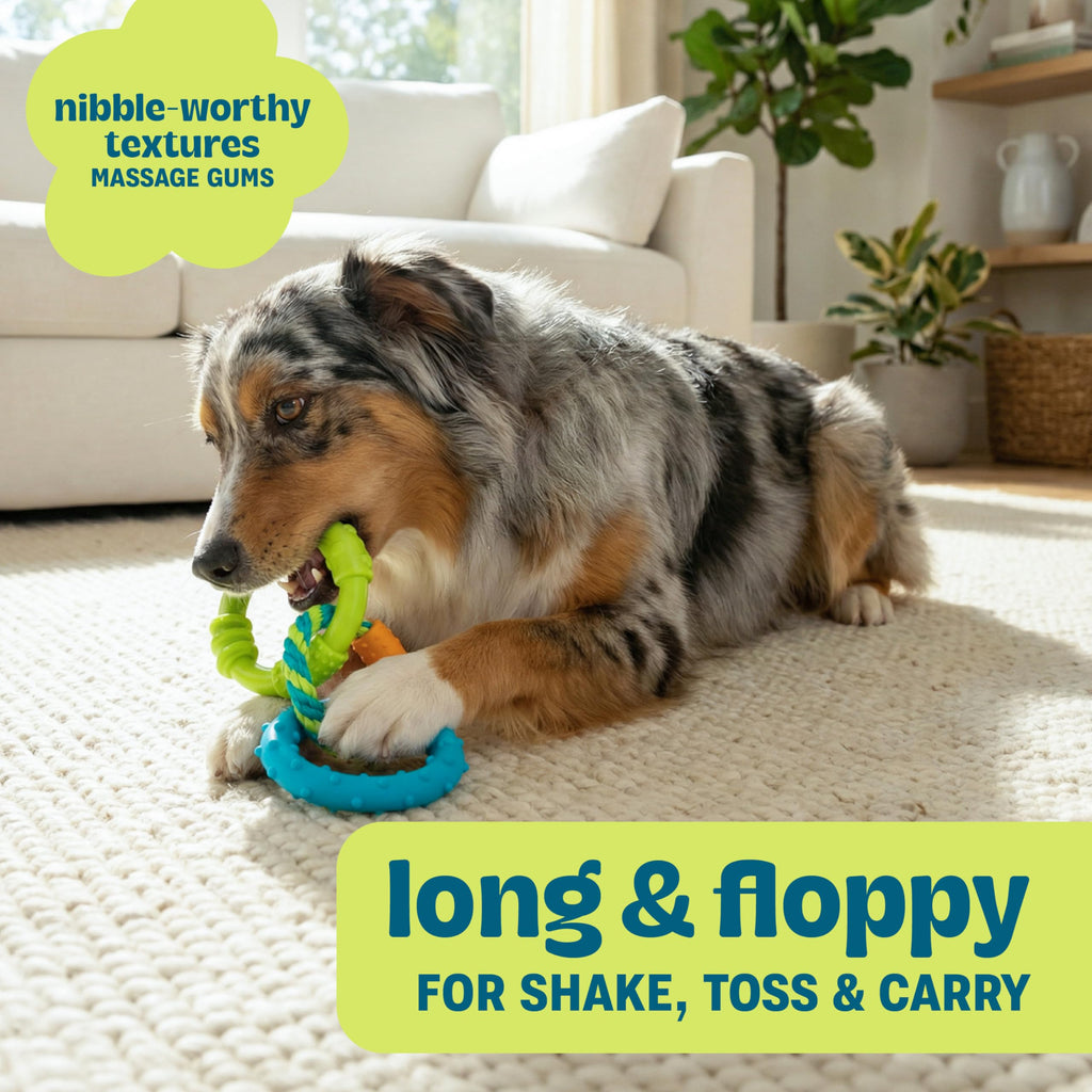 Pupstages Dental Links Dog Chew Toy, Textured Rings & Woven Rope, 8.5"