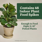 Miracle-Gro Indoor Plant Food Spikes for All Plants, 48 Spikes