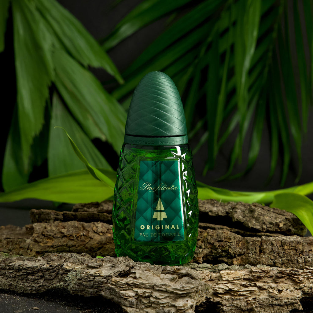 Buy now Pino Silvestre Original By Pino Silvestre For Men - A Men's Eau De Toilette Cologne Perfume Spray With A Million Dollar Fragrance - An Extreme Pheromone For The Classic Man In Your Life - 4.2 Oz at indiglob india