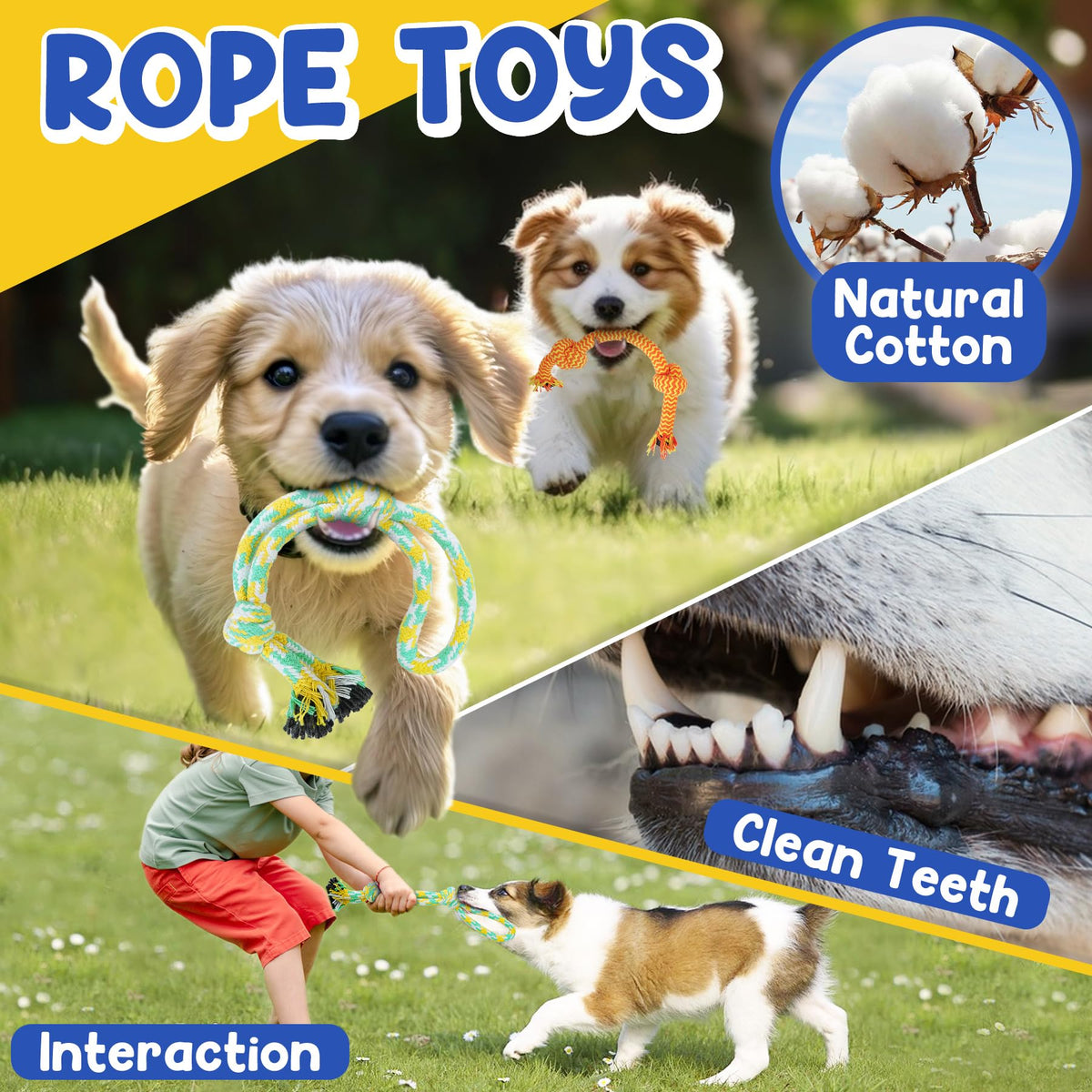 Puppy Toys for Teething, 9 Pack Cute Dog Chew Toys for Small Dogs