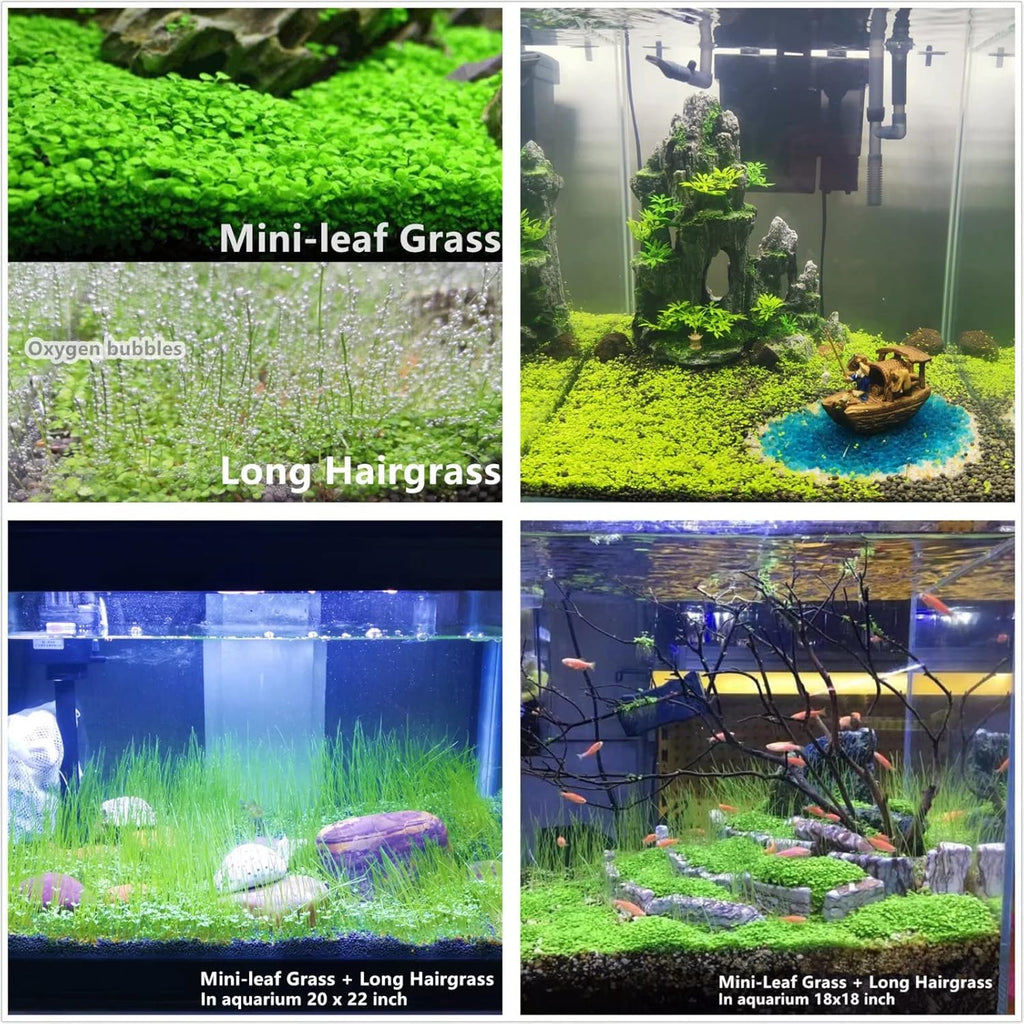 Buy now Aquarium Plant S.e,e,ds. not Fish Tank Aritificial Plastic Plant,10gram Mini-Leaf+8grame Long Hair Grass Fresh Water Carpet Decor at indiglob india