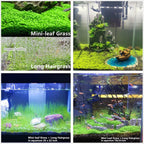 Buy now Aquarium Plant S.e,e,ds. not Fish Tank Aritificial Plastic Plant,10gram Mini-Leaf+8grame Long Hair Grass Fresh Water Carpet Decor at indiglob india
