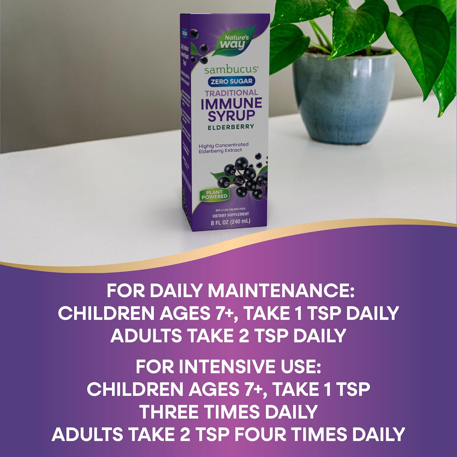 Buy now Natureâ€™s Way Sambucus Zero Sugar Traditional Immune Syrup, Highly Concentrated Black Elderberry Extract, Traditional Immune Support*, Sugar-Free, Berry Flavored, 8 Fl Oz (Packaging May Vary) at indiglob india