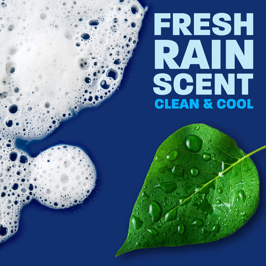 Dawn Platinum Liquid Dish Soap, Dishwashing Liquid, Grease Removal, Fresh Rain, 26.8oz