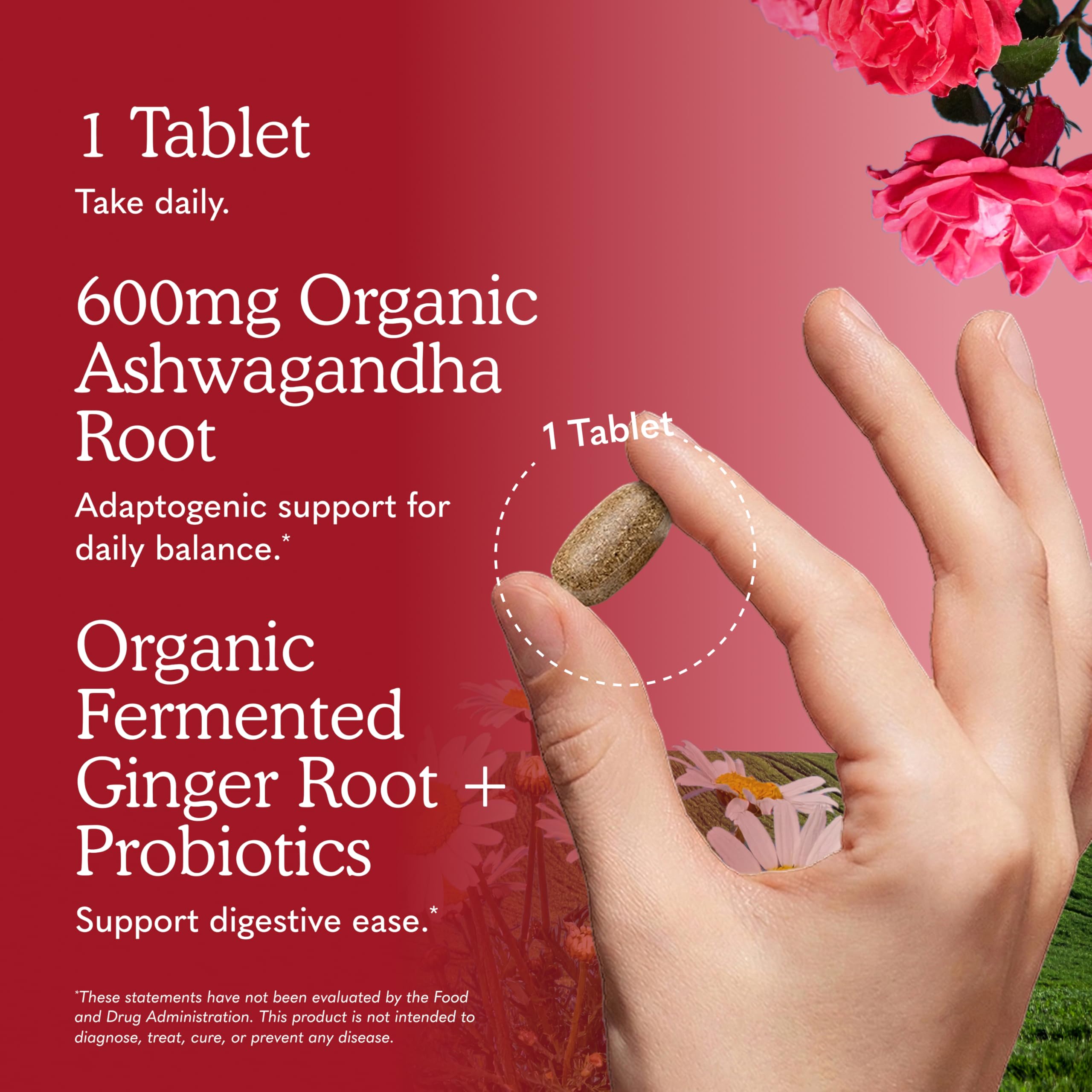 Garden of Life Organic Ashwagandha Supplement with Probiotics & Ginger - Stress, Mood & Energy Support, Vegan, Gluten Free, Non GMO, 2 Month Supply, 60 Tablets