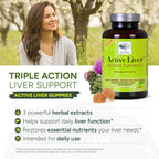 NEW Nordic Active Liver Support Gummies Supplement 180-Day Supply (3 Pack) | Sugar-free botanical gummies made with milk thistle extract and globe artichoke for daily routine integration