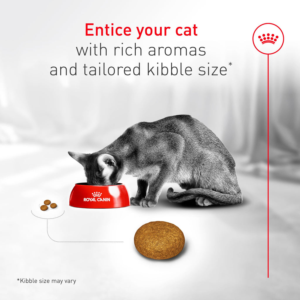 ROYAL CANIN Fussy Dry Cat Food for Adult Cats, Protein-Rich Kibbles for Picky Eaters, Poultry-Based, Supports Healthy Weight and Urinary Health, 7 lb Bag