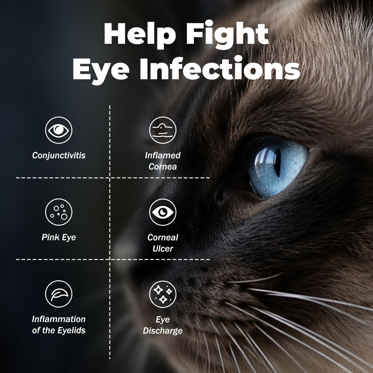 Pet Eye Health for Dogs, Cats, Cattle, Sheep, Horses, Birds, Puppies and Kittens - 3 x 0.35 oz (10 g) Tubes