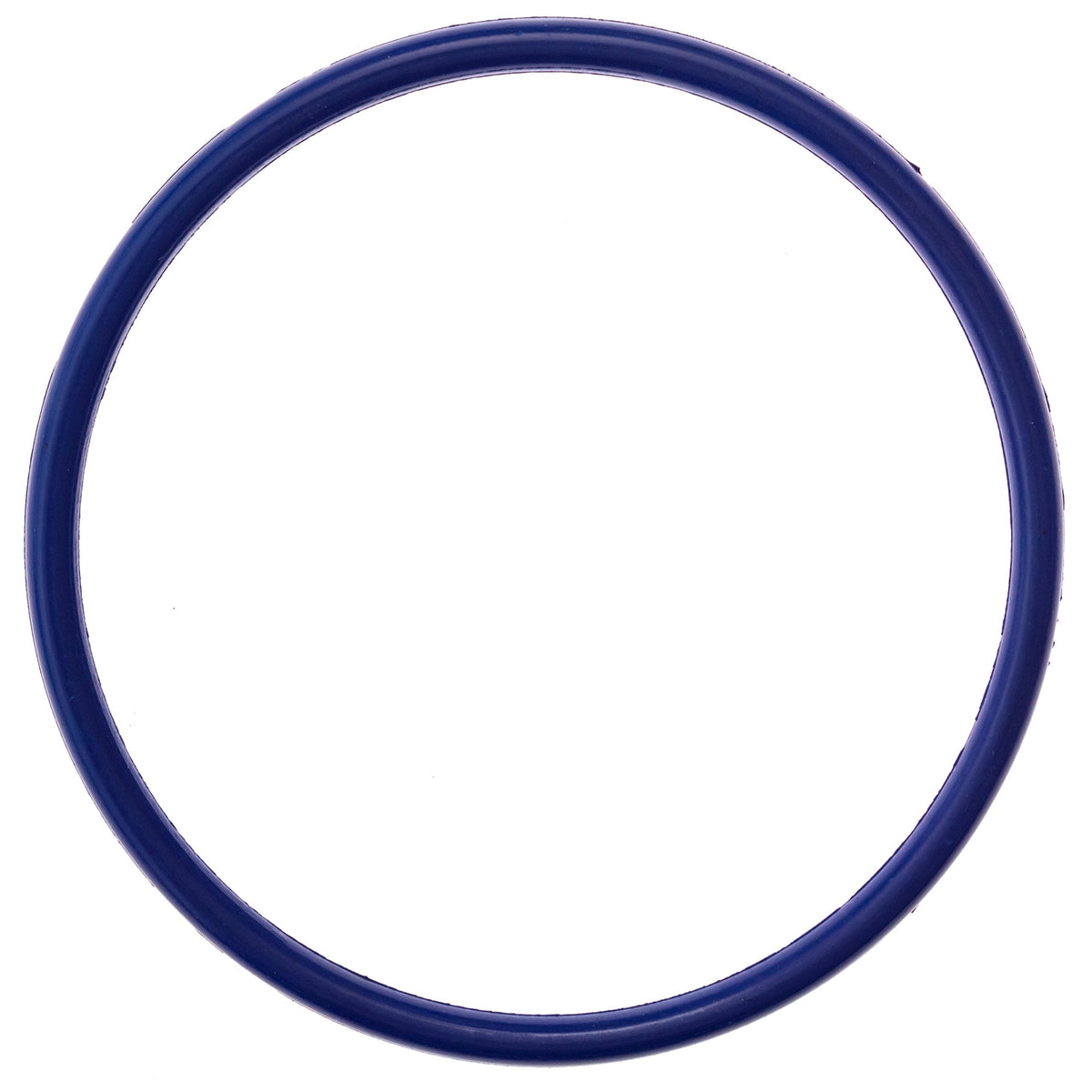 Pool Ruler R172009 Chlorine Resistant VITON O-Ring 2 Pack + Lubricant for Pentair Rainbow Chlorinator 300 & 320 Lid