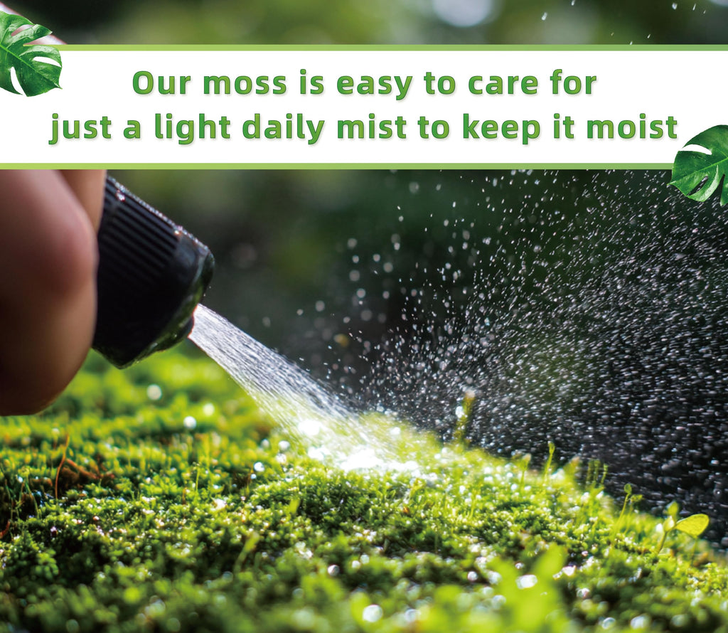 LUCKYRUNES Live Moss for Terrarium Bedding & Reptile Enclosures