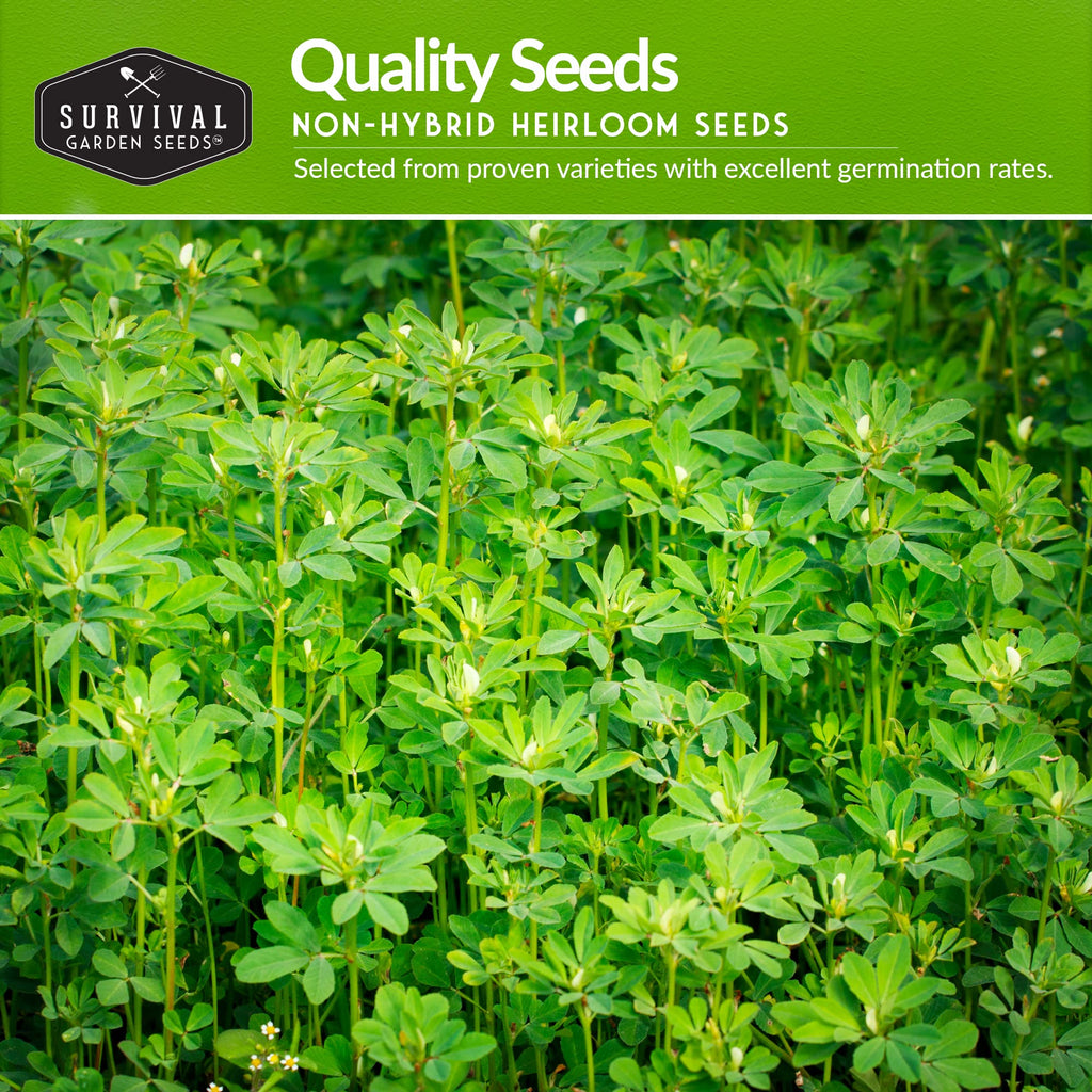 Cool Season Vegetable Seeds Variety Pack for Planting