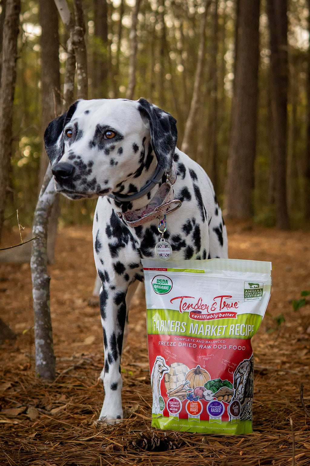 Tender & True Pet Nutrition Farmers Market Recipe Freeze Dry Raw Dog Food, 1 lb.