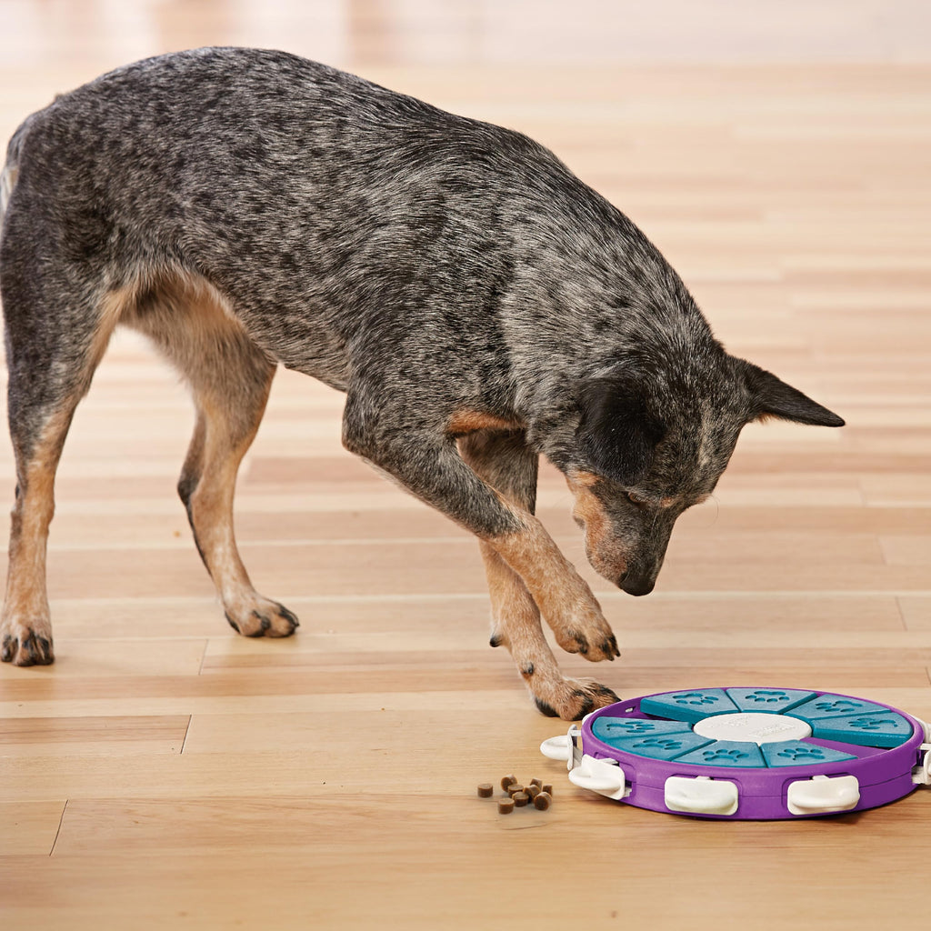 Outward Hound Nina Ottosson Dog Twister Dog Toy Treat Puzzle, 11.8"