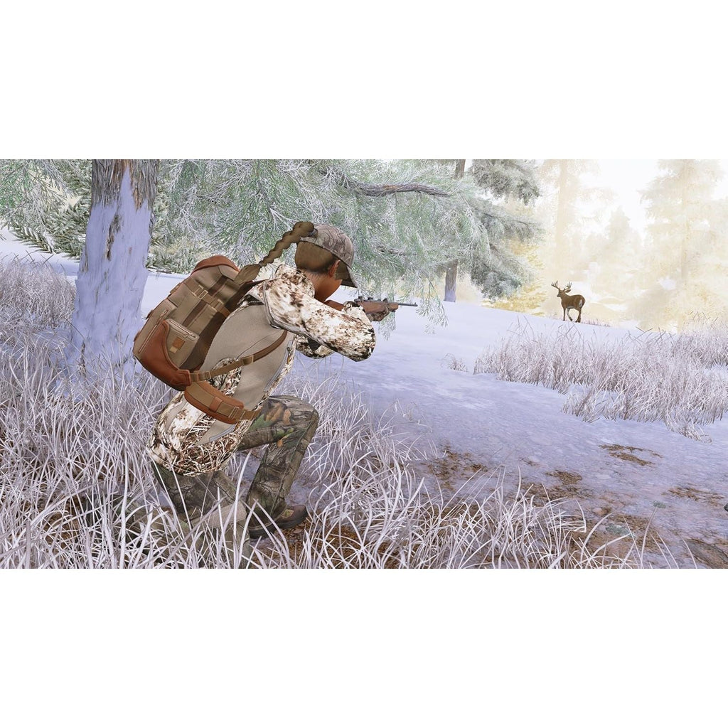 Buy now Hunting Simulator - Nintendo Switch at indiglob india