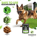 BugBarrier's Extra-Strength Mouse Repellent Deterrent Pouches, USDA 99% Biobased, Peppermint & Rosemary Oils Repel Mice Nesting in Car, RV, Boat, Garage, Shed, Cabin Made in The USA (Pack of 20)