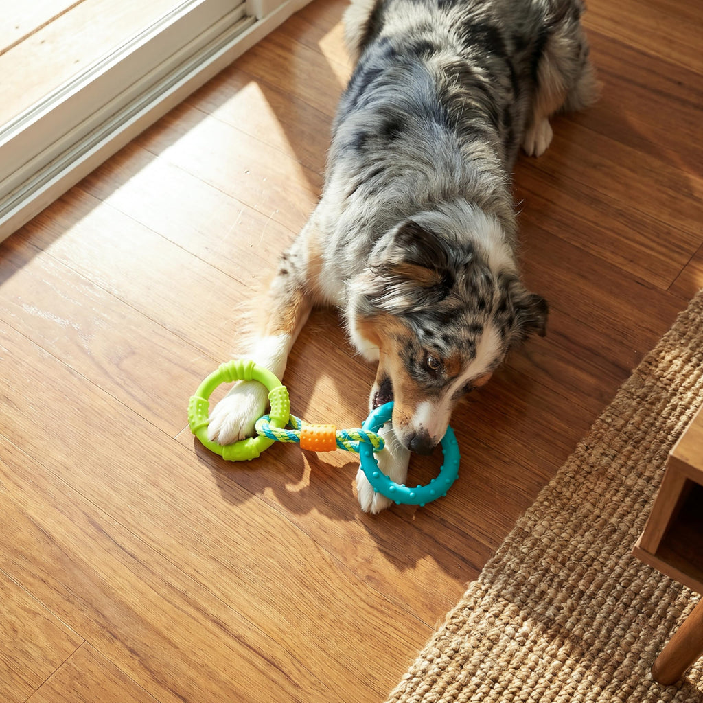Pupstages Dental Links Dog Chew Toy, Textured Rings & Woven Rope, 8.5"