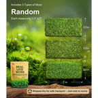 LUCKYRUNES Live Moss 3-Pack for Reptile Enclosures & Terrariums,Fresh Reptiles Substrate