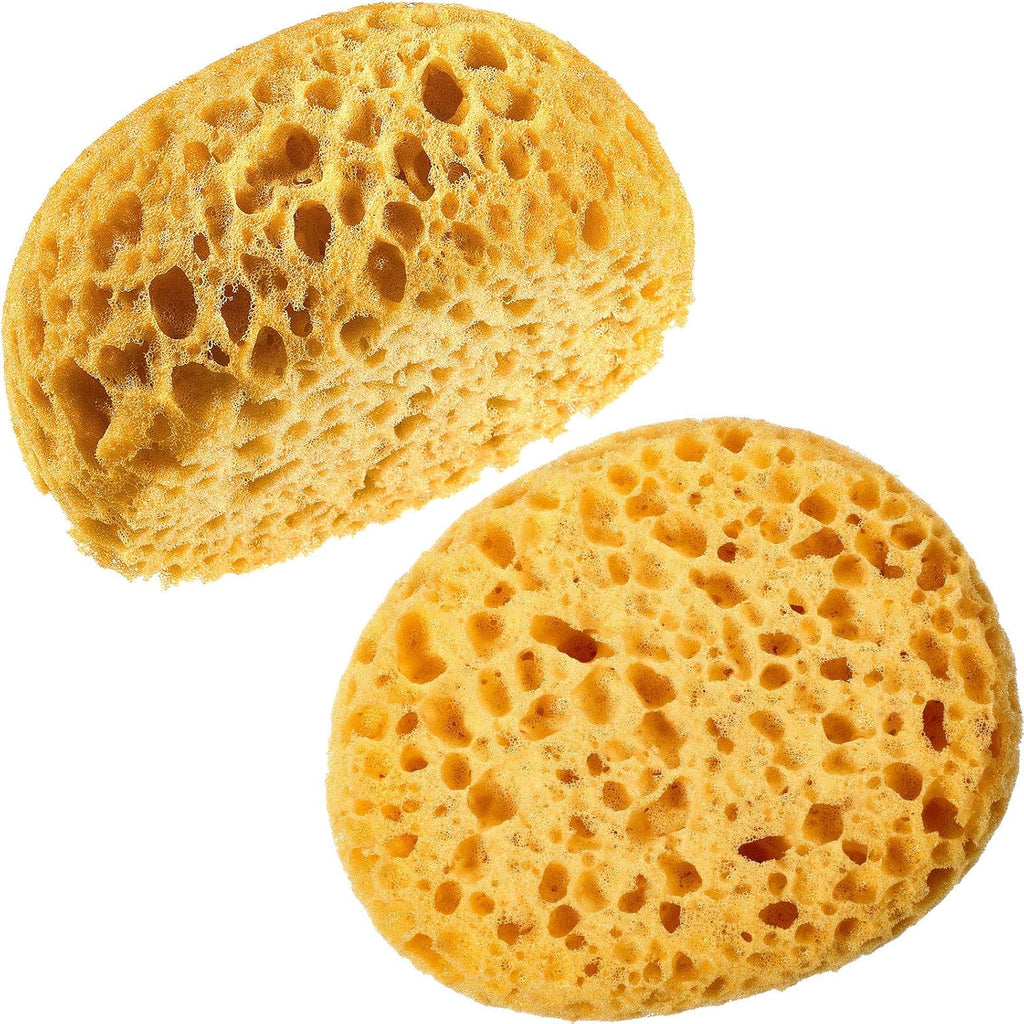Buy now Patelai Knockdown Texture Sponge Drywall Wall Patch Ceiling Texture Sponge Home Decor for Repair DIY Painting Ceiling(2 Pieces,13 x 15 x 6 cm) 13 x 15 x 6 cm 2 at indiglob india