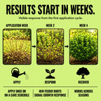 Tree & Shrub - It's Not Dead Yet mitogrow