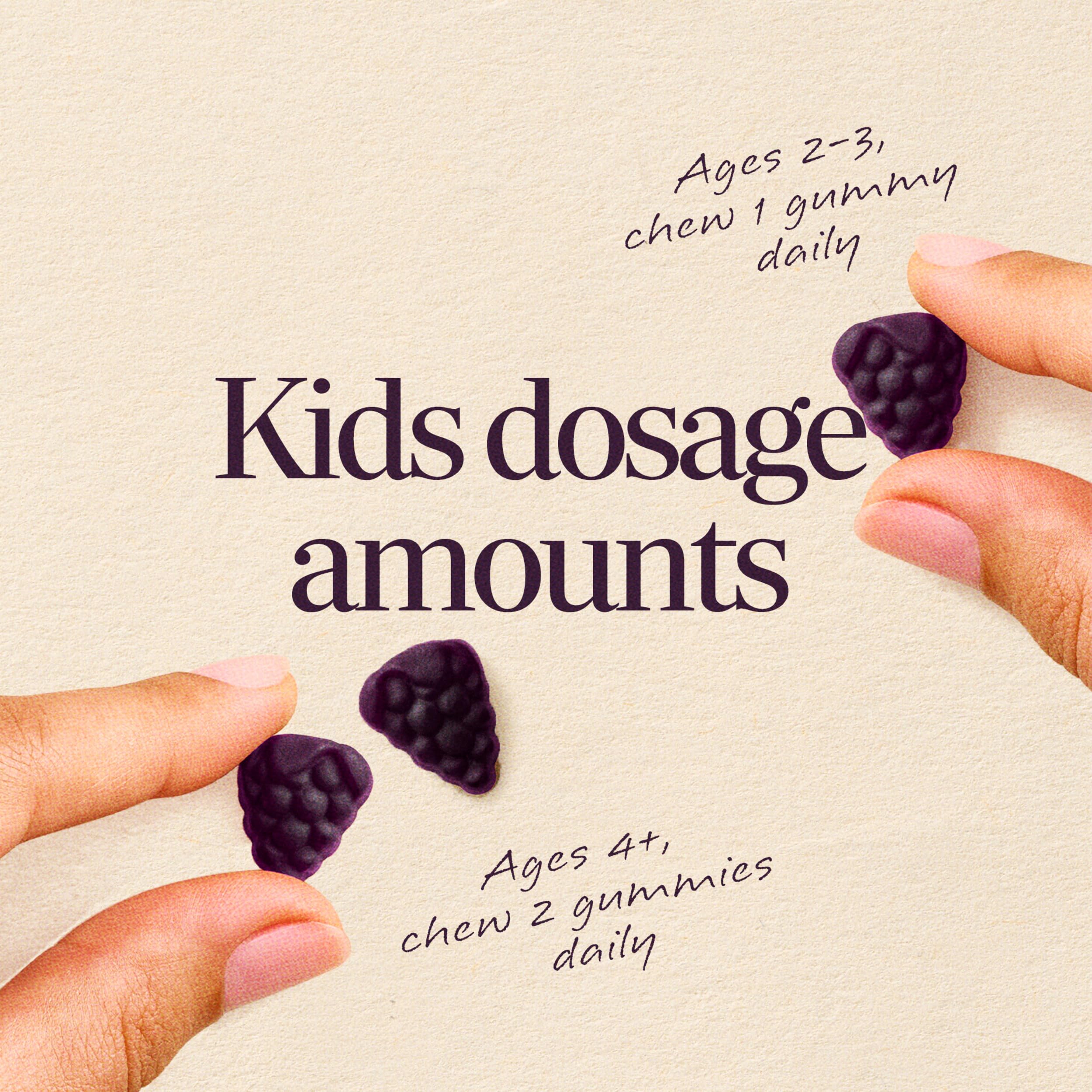 Nature's Way Sambucus Kids Elderberry Immune Gummies, Ages 2+, 60 ct | Daily Immune Support Gummy with Black Elderberry Extract, Vitamin C and Zinc, for Children Ages 2+*