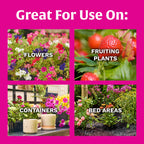 Buy now Scotts Super Bloom Water Soluble Plant Food, 2 lb - NPK 12-55-6 - Fertilizer for Outdoor Flowers, Fruiting Plants, Containers and Bed Areas - Feeds Plants Instantly at indiglob india