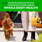 Greenies Teenie Natural Dental Dog Treats, Pumpkin Spice Flavor, 43 Count